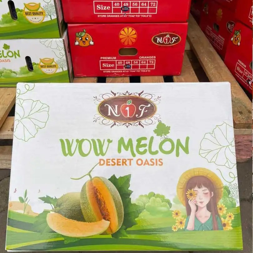 In hộp giấy đựng dưa lưới – Bao bì chuyên nghiệp nâng tầm sản phẩm In hộp giấy đựng dưa lưới – Bao bì chuyên nghiệp nâng tầm sản phẩm