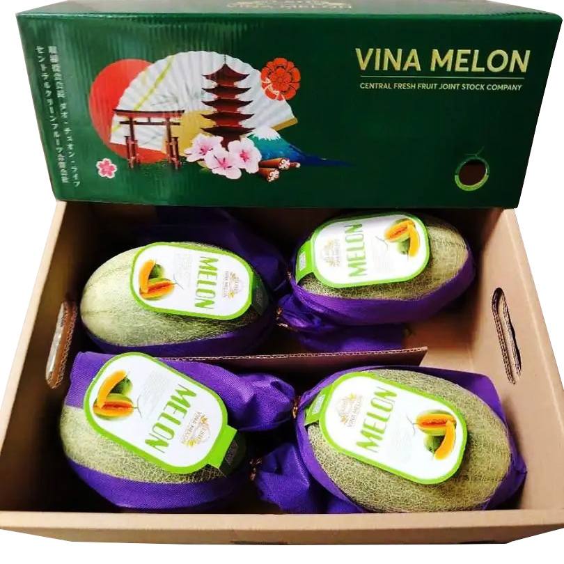 In hộp giấy đựng dưa lưới – Bao bì chuyên nghiệp nâng tầm sản phẩm In hộp giấy đựng dưa lưới – Bao bì chuyên nghiệp nâng tầm sản phẩm