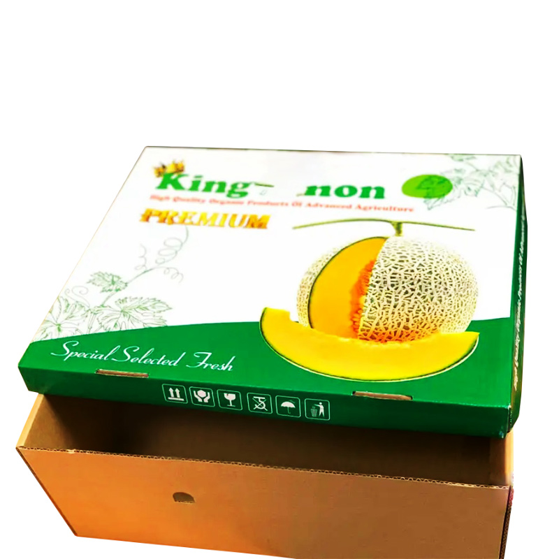 In hộp giấy đựng dưa lưới – Bao bì chuyên nghiệp nâng tầm sản phẩm In hộp giấy đựng dưa lưới – Bao bì chuyên nghiệp nâng tầm sản phẩm