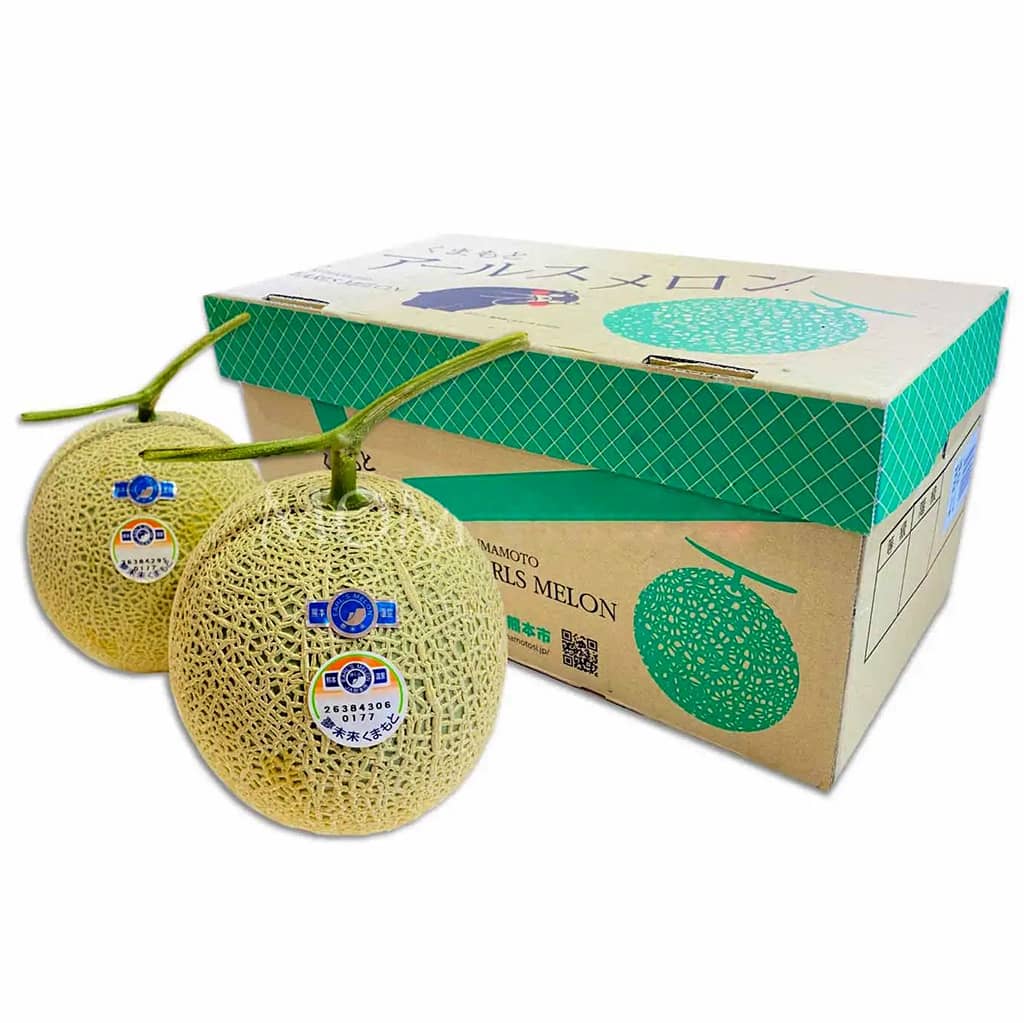 In hộp giấy đựng dưa lưới – Bao bì chuyên nghiệp nâng tầm sản phẩm In hộp giấy đựng dưa lưới – Bao bì chuyên nghiệp nâng tầm sản phẩm